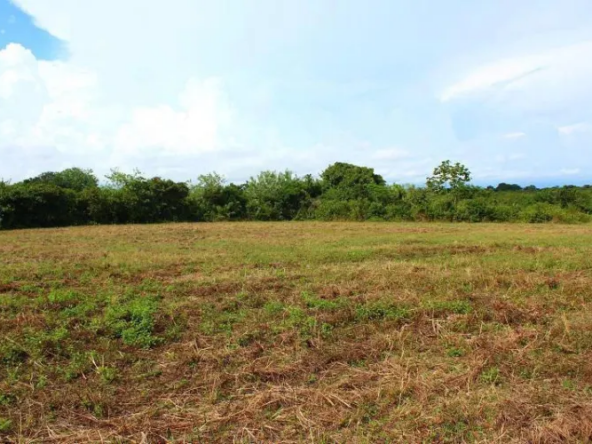 Terreno en venta - Río Hato - Condomini Bienes Raíces